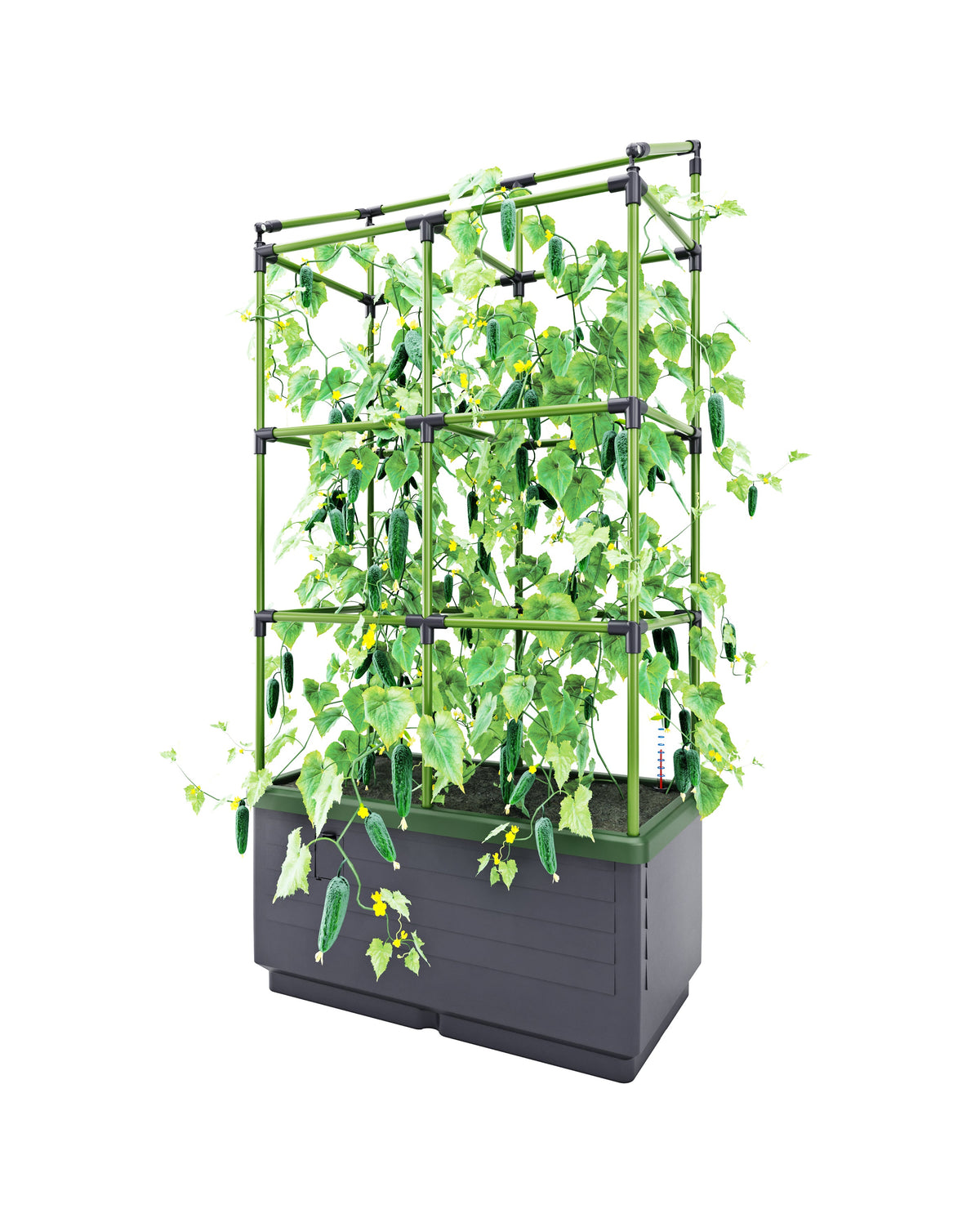 City Jungle Raised Bed Planter Box with Trellis