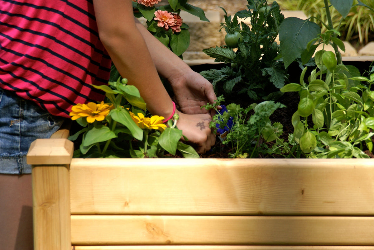 Eden™ 2'X3' Medium Planter