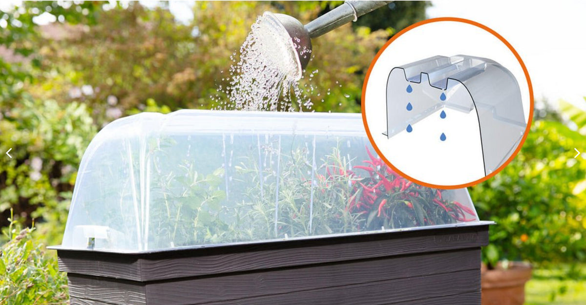 Urban Balcony Raised Bed/Planter