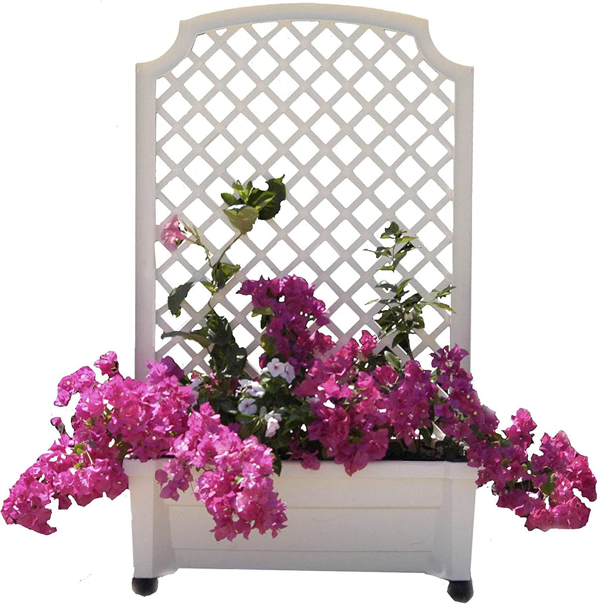 Calypso™ Planter with Trellis and Water Reservoir
