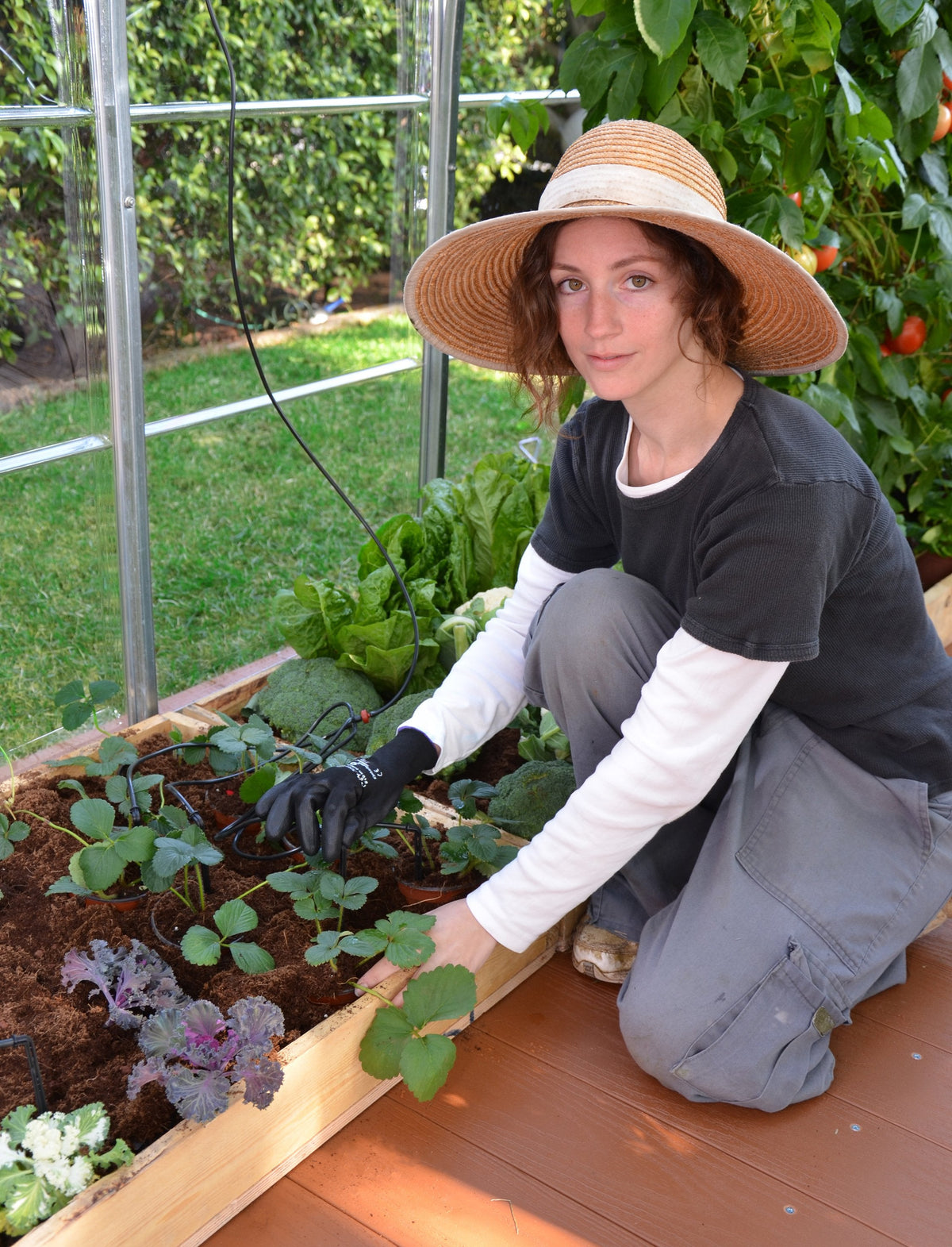 Palram-Canopia® Drip Irrigation Kit