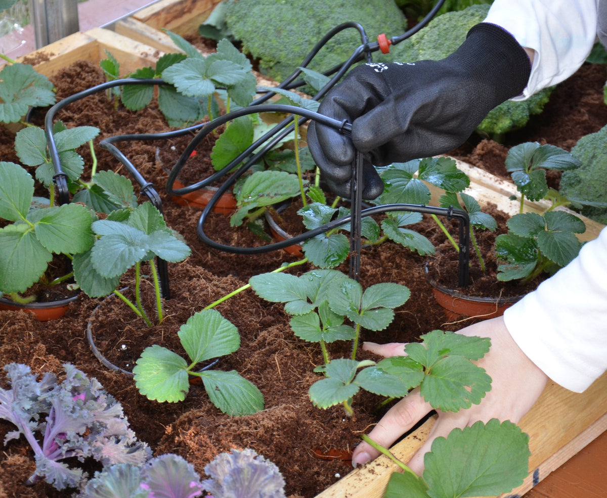 Palram-Canopia® Drip Irrigation Kit