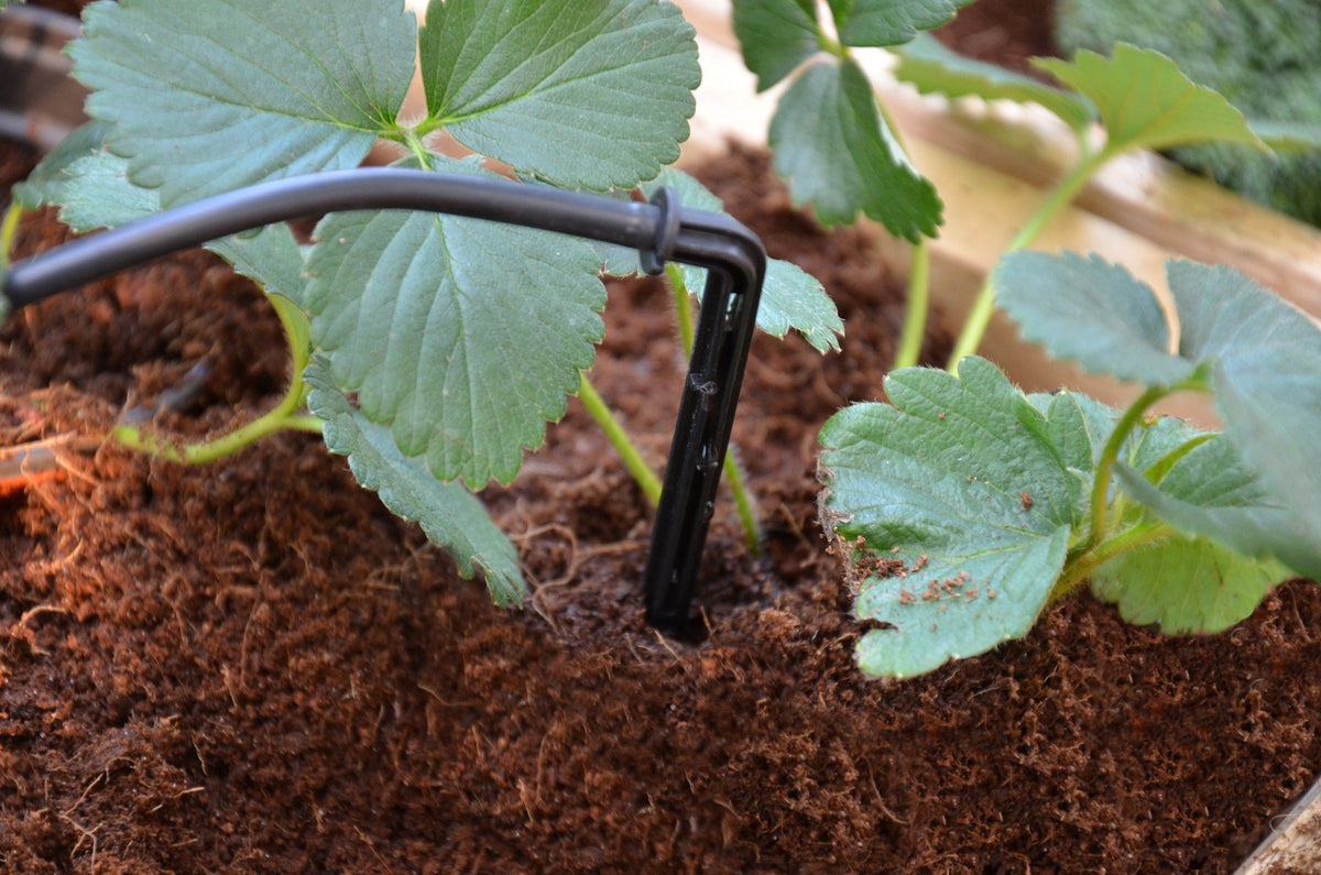 Palram-Canopia® Drip Irrigation Kit