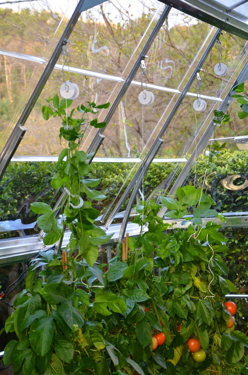 Trellising Kit Pro for Palram-Canopia® Greenhouses