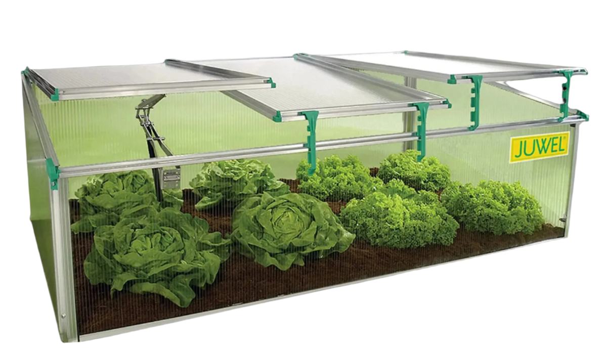 BioStar 1500 Premium Cold-Frame