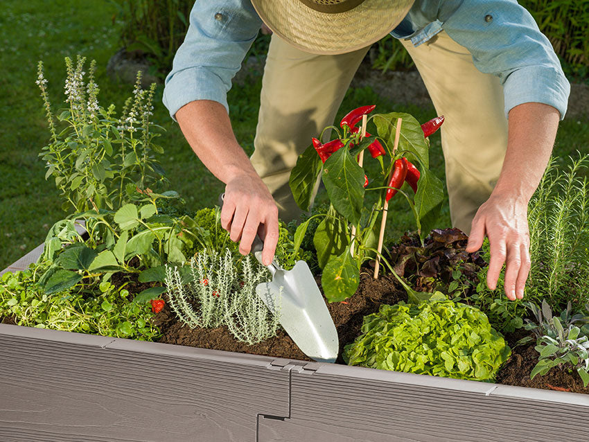Kombi Raised Bed & Cold Frame Combination
