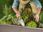 Timber Raised Bed