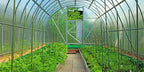 8mm (0.315") Polycarbonate Sheets  4'x2'